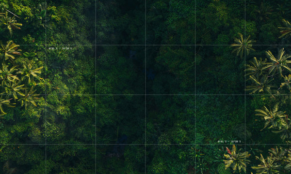 campaign image