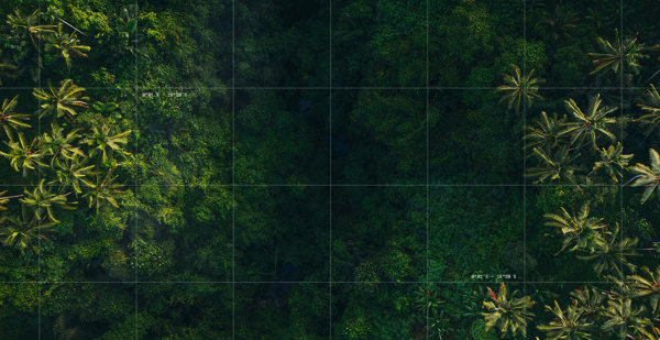 campaign image